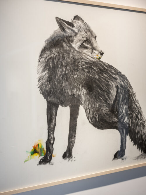 Tierleben | Affenfaust Galerie Tierleben | Affenfaust Galerie