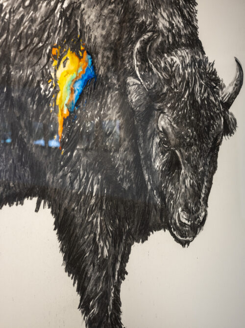 Tierleben | Affenfaust Galerie Tierleben | Affenfaust Galerie