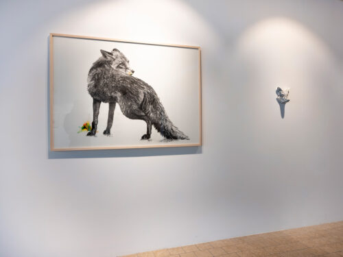 Tierleben | Affenfaust Galerie Tierleben | Affenfaust Galerie