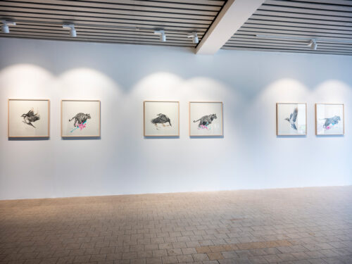 Tierleben | Affenfaust Galerie Tierleben | Affenfaust Galerie