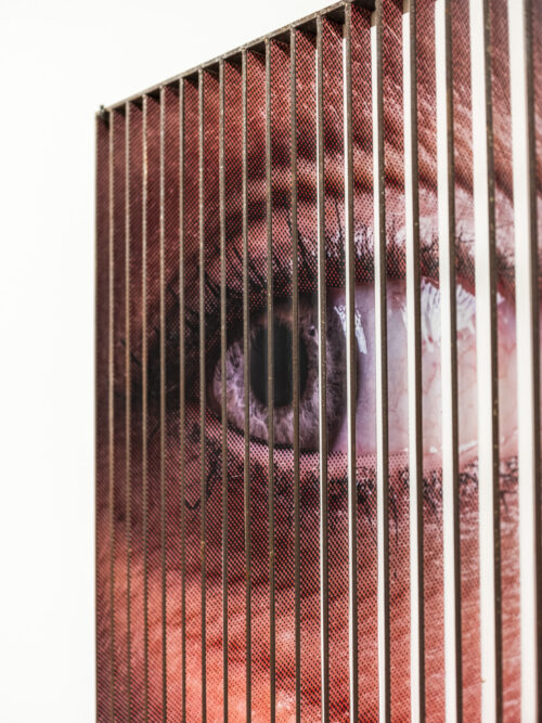 Groupshow | Affenfaust Galerie Groupshow | Affenfaust Galerie